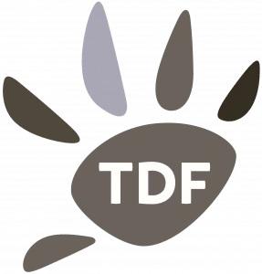 TDF